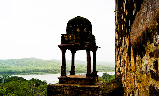 best places in north india, north india, ranthambore