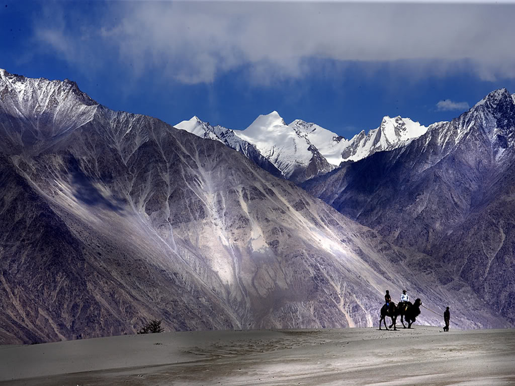 Nubra Valley with Double Humped Camels (Photo Credits) 