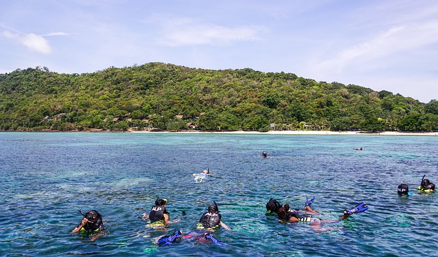 view corals