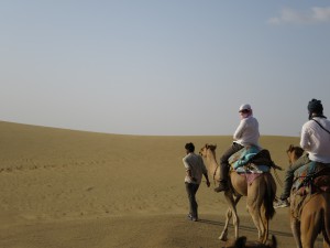 Rajasthanurlaub im Januar