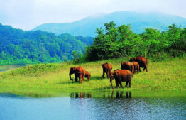 Periyar Nationalpark