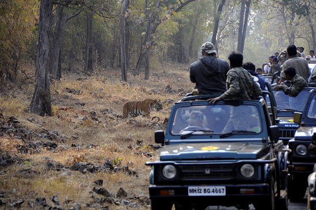 Best wildlife sanctuary in India