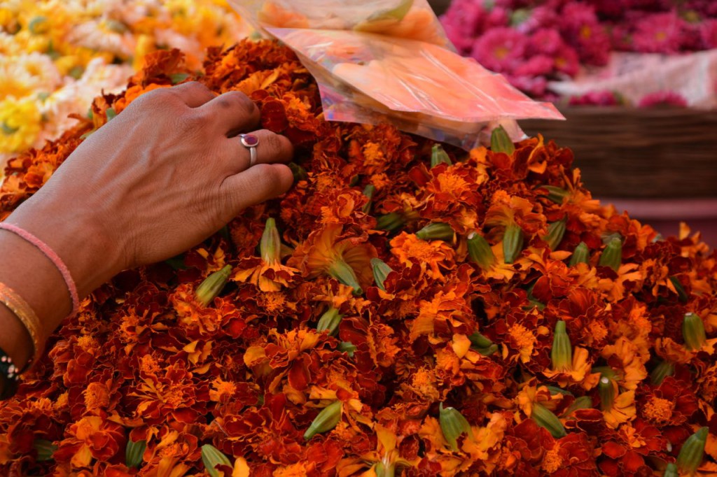Pune-Flowers