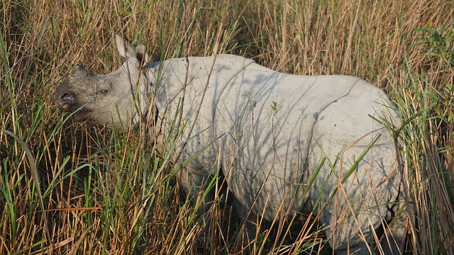 National parks of India