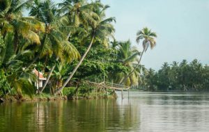 Kerala backwaters, best things to do in India
