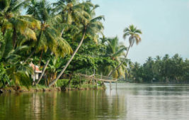 two weeks in south india, kerala, backwaters