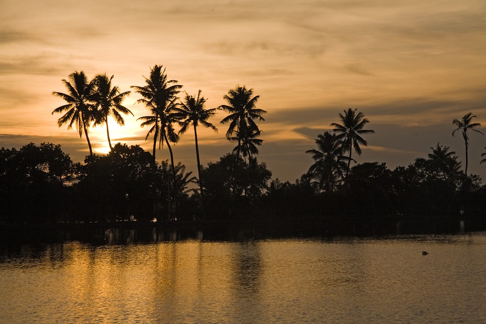 Paysage idyllique au Kerala