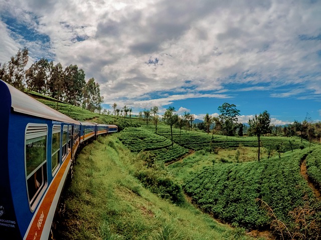 Train in India, Trains in Sri Lanka