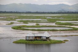 loktak see, manipur, nordostindien