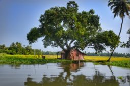 Kerala backwaters in the summer, Summer in India