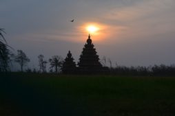 surfen in mahabalipuram