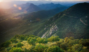 Rajasthan_Monsoon