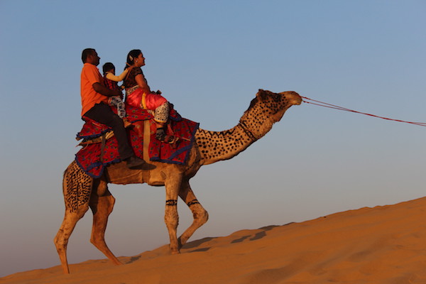 places to visit in rajasthan, jaisalmer, camel, desert