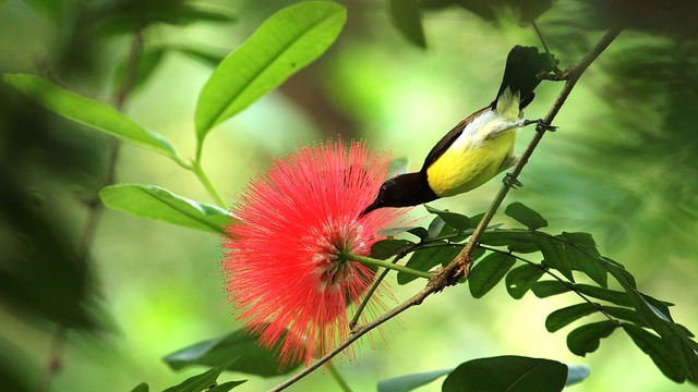 National Parks in Kerala