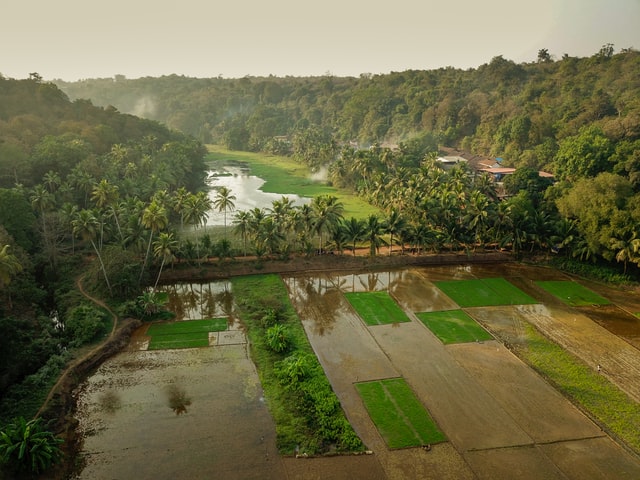 Monsoons in India