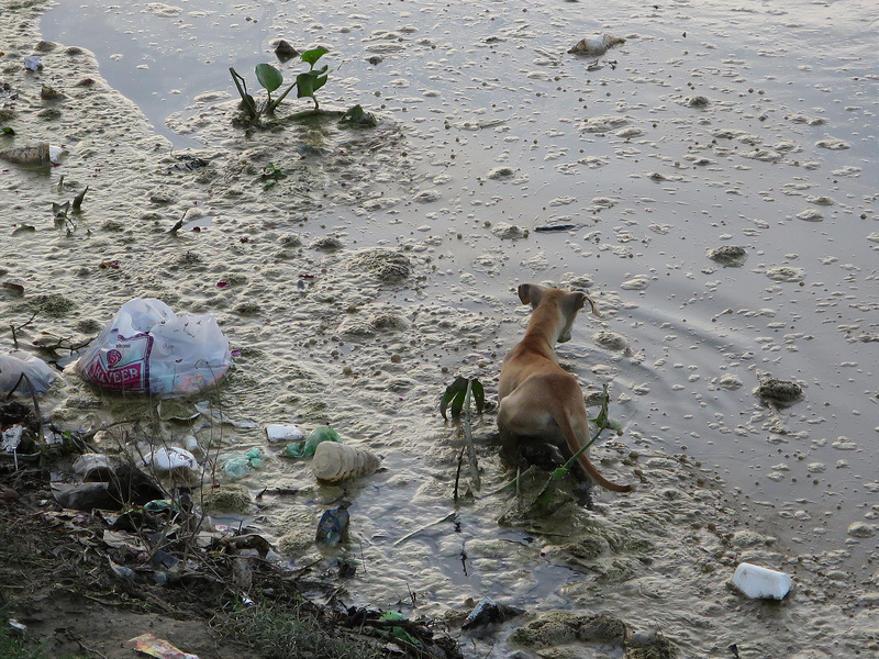 Müll findet man in Indien so gut wie überall - auch in den Flüssen