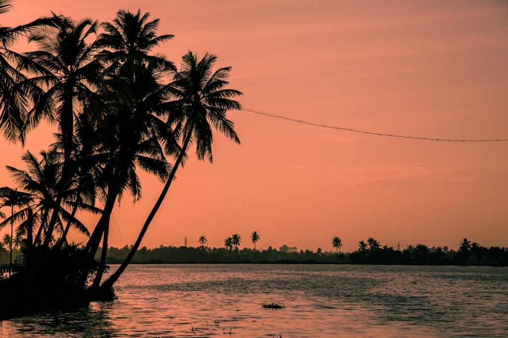Backwaters-Kerala