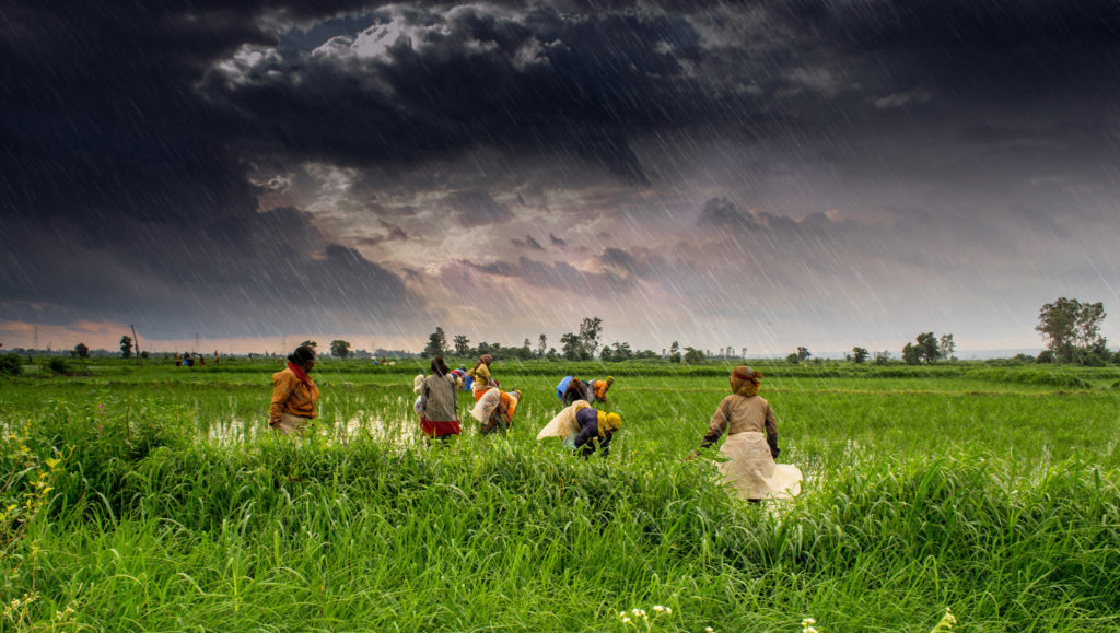 Monsoons in India
