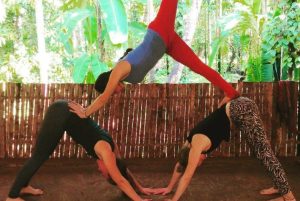 Yoga courses in India