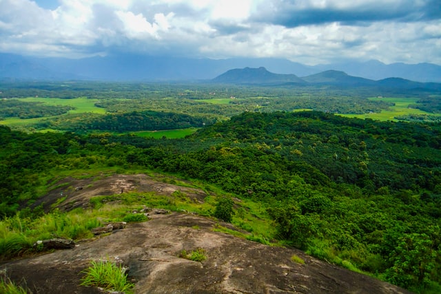 weather in kerala