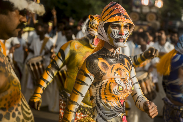 onam, india during festival season, tigers