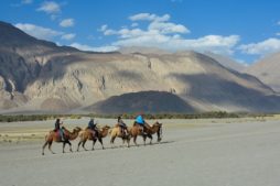 Nubra valley