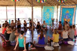 yoga in indien, yoga lehrer ausbildung