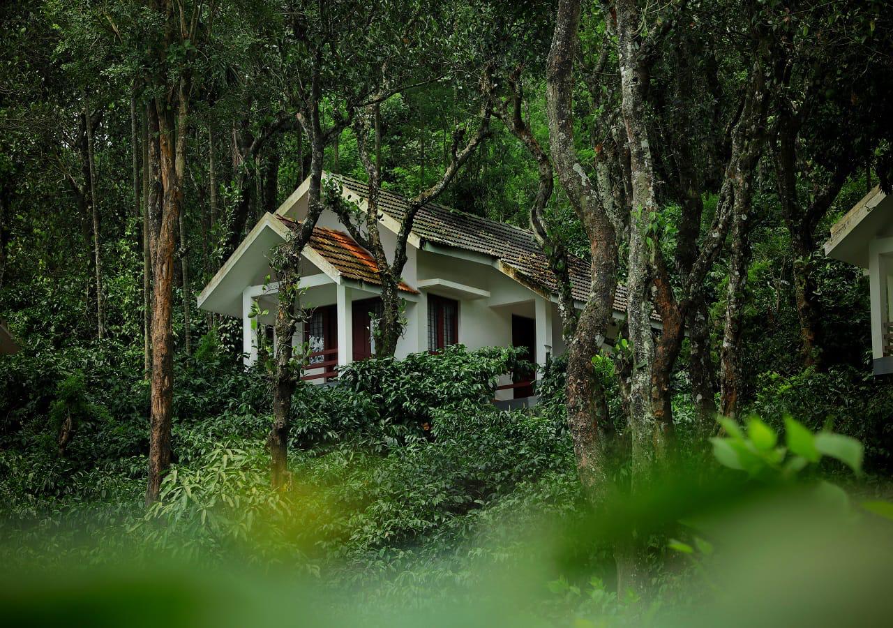 Dhanagiri homestay Wayanad