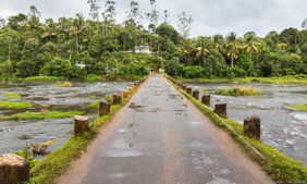 periyar nationalpark thekkady