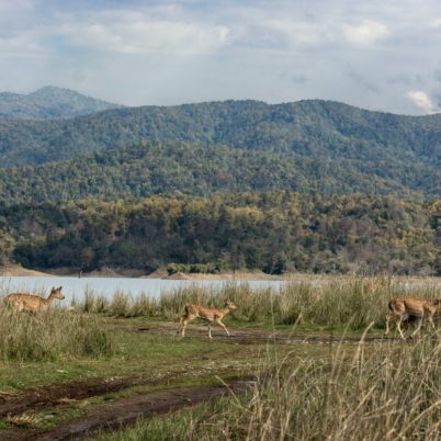 The Best Places for Nature Photography in India