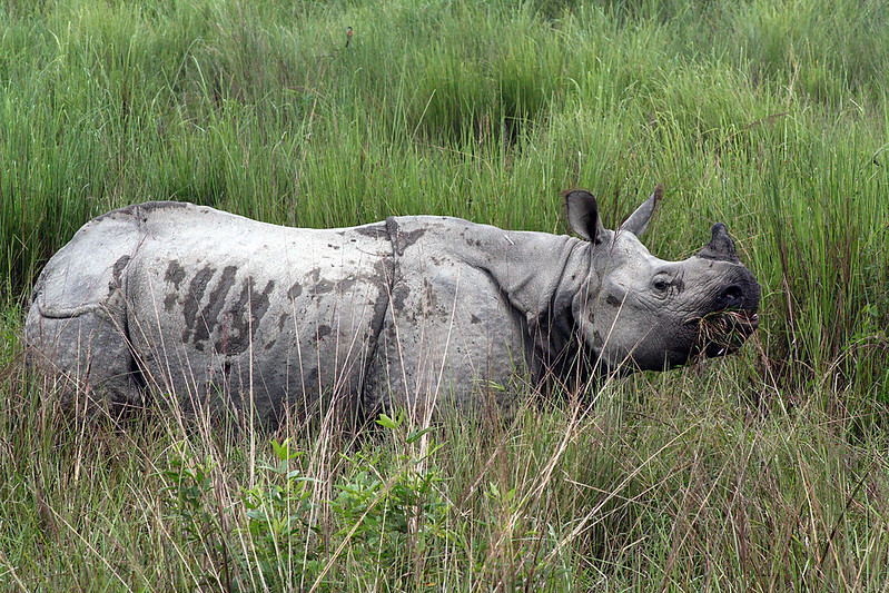 Wildlifr sancturies in India