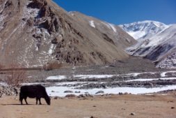 Nationalparks indien himalaya