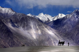 himalaya indien, nubra tal, leh