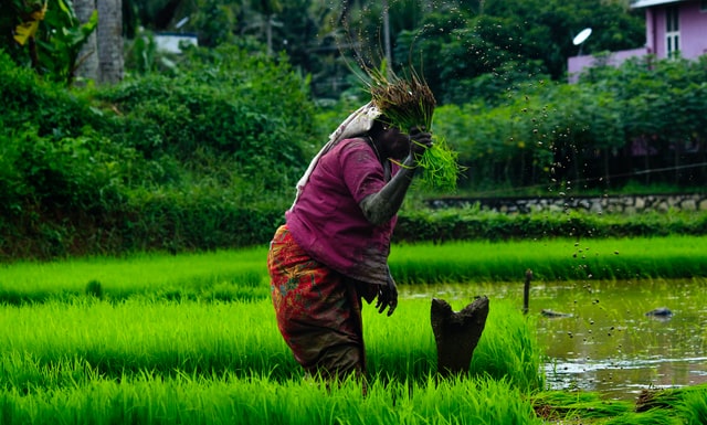 Farmers in India, Volunteer travel in India