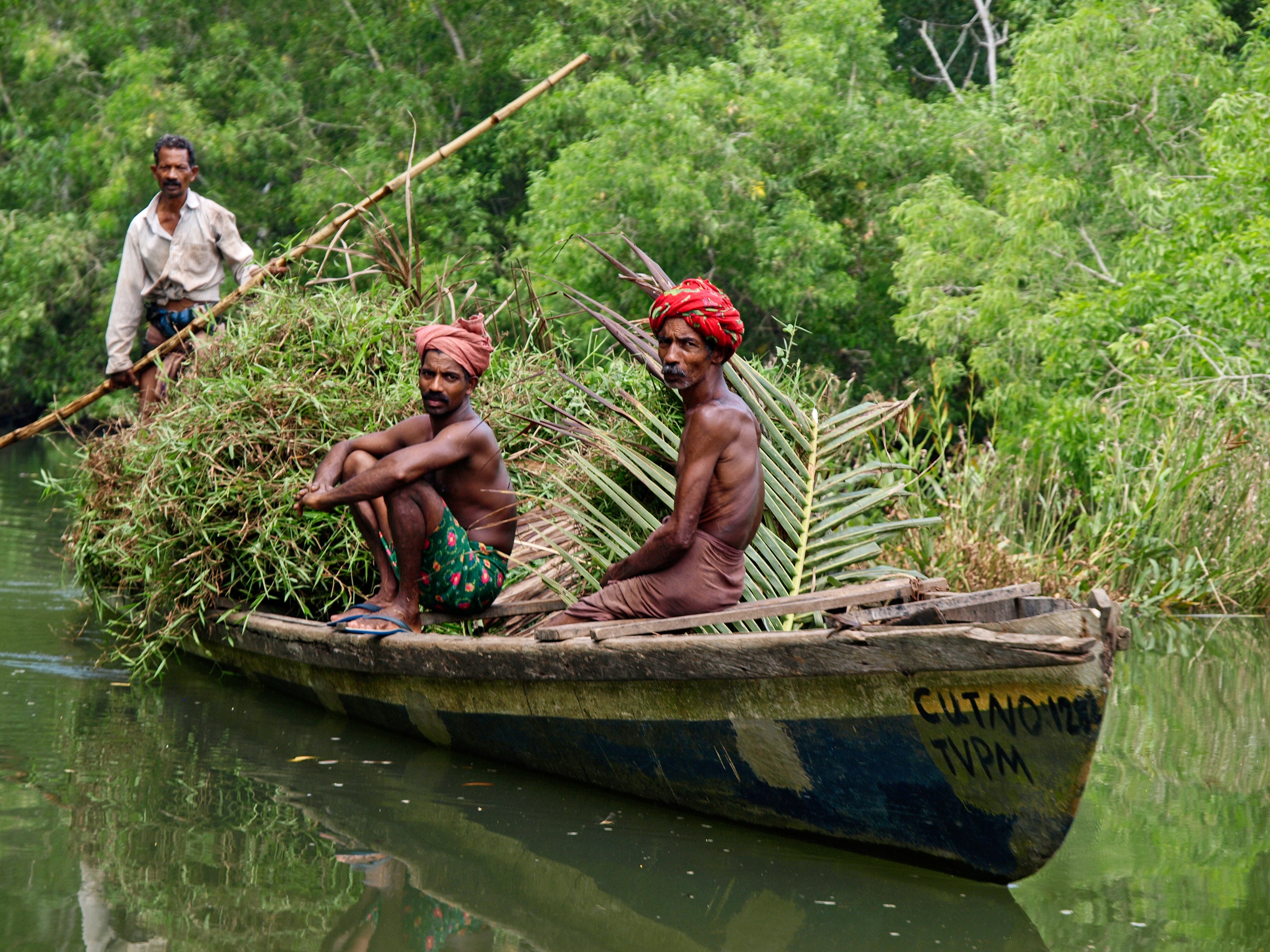 Backwaters kerala