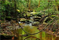 wandern im süden, wandern in kerala, wildlife sanctuary