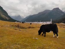 nachhaltiges Sikkim 