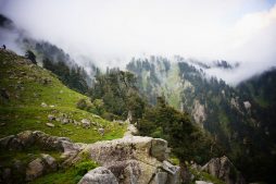 wandern im himalaya, triund hill