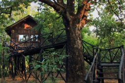 bandhavgarh national park 