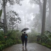 monsun kerala