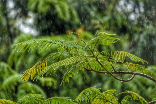 Monsoons in India, off season in India