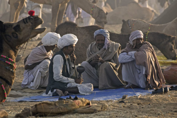 Camel Fair in Rajasthan