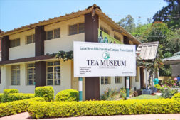 Tata Tea Musuem Kerala, Tea plantation tours