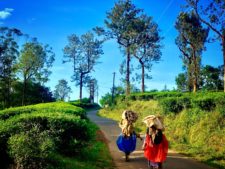 Things to do in Wayanad, Kerala