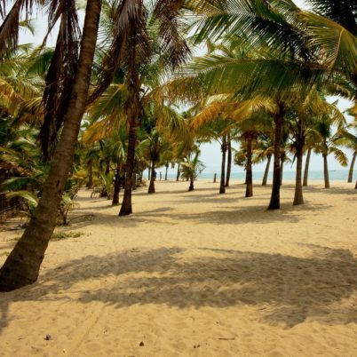 Marari beach, things to do in kerala