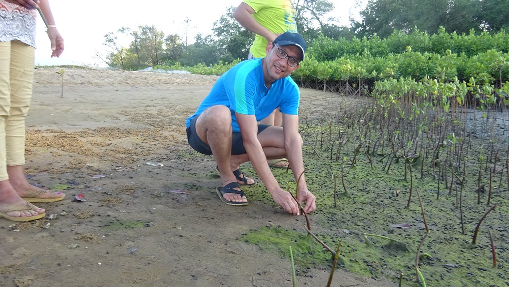 Voluntering in afforestation In South India