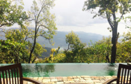 Yoga Retreats in Rishikesh